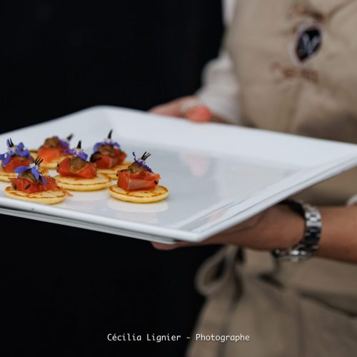 WhatsApp Image 2026-04-02 at 14.12.51 (1)